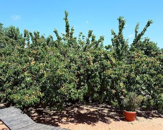 Azienda Agricola Sinisi - Cerveteri - Außenansicht