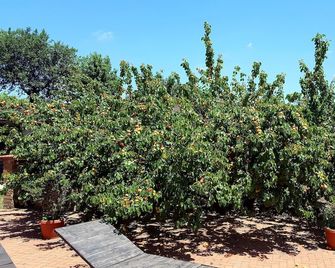 Azienda Agricola Sinisi - Cerveteri - Außenansicht