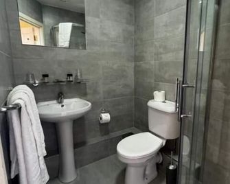 Baggot Court Townhouse - Dublin - Banyo