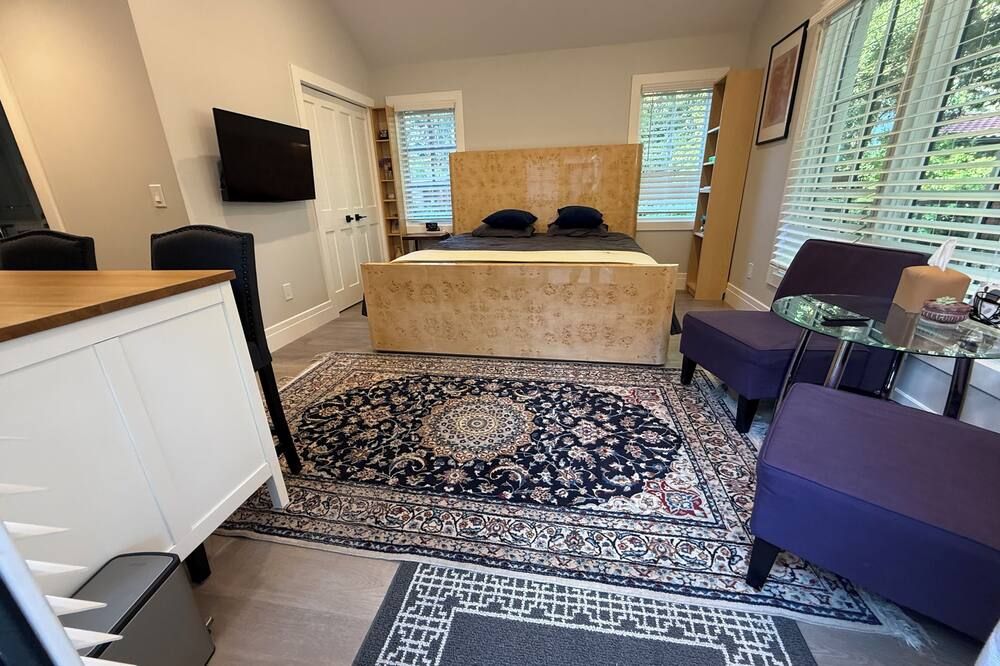 ADU studio guesthouse unit in a brand new 2/3 acre Spanish mansion In Atherton