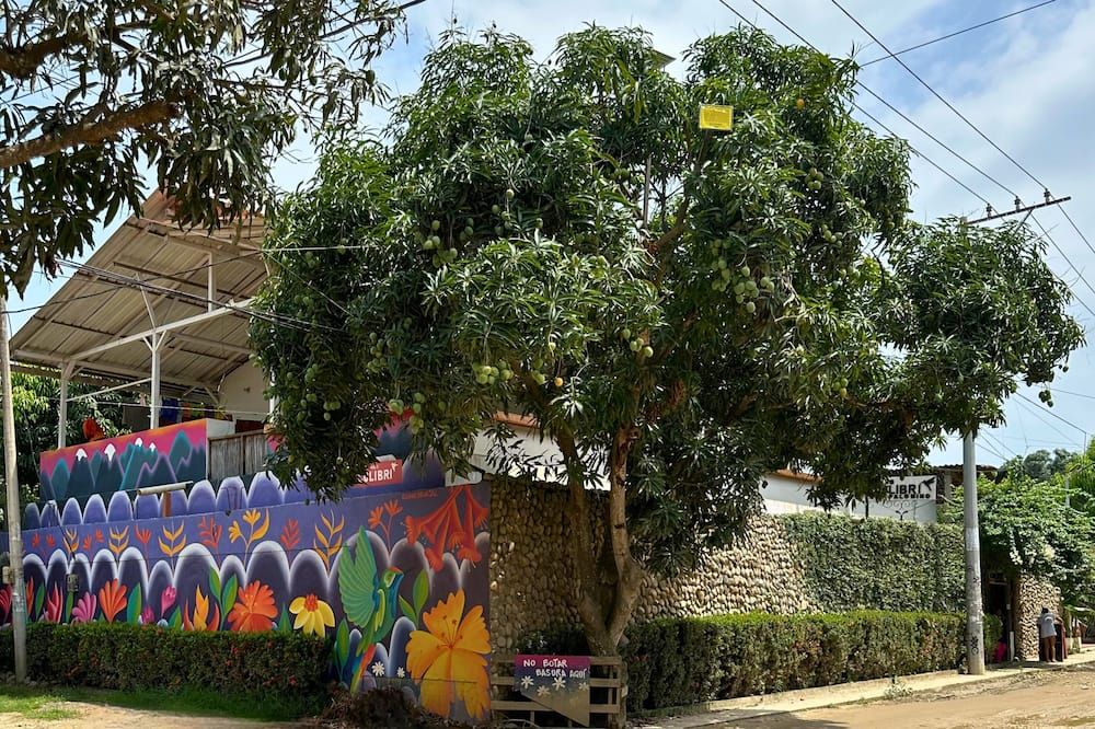 Casa Colibri Palomino - Palomino - נוף חיצוני