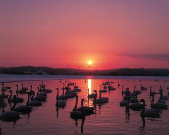 4th floor of NY building - Kitami - Strand