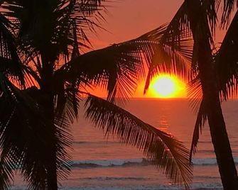 Gallina E Palo Beachfront Hotel - Jacó - Playa