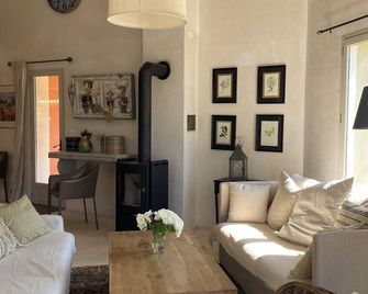 Large House, Gordes , Heated Swimming Pool , View Over Goult, Roussillon - Joucas - Wohnzimmer