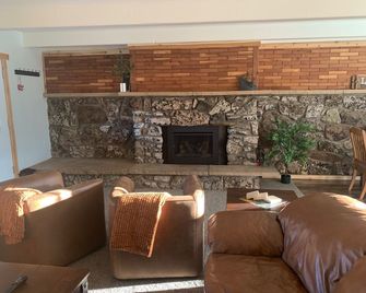 Scenic 3 bedroom cabin with hot tub - Leadville - Lounge