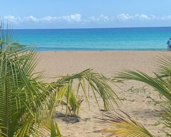 Cozy 2-bedroom apartment in charming Arecibo with WiFi, AC - Arecibo - Playa