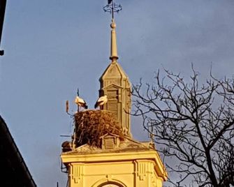 Casa de Huéspedes con encanto El Sueño del Quijote - Alcalá de Henares
