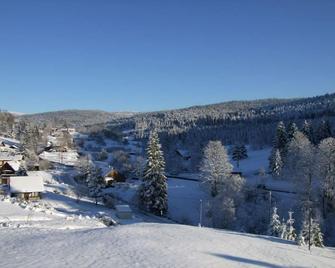 Large 4-star chalet at Grand Valtin near Gérardmer 7bedroom-4bathroom, 4wc - Ban-sur-Meurthe-Clefcy - วิวภายนอก