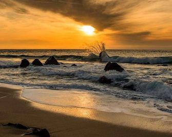 Adobe Inn - Carmel-by-the-Sea
