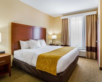 Comfort Suites Twinsburg - Twinsburg - Bedroom