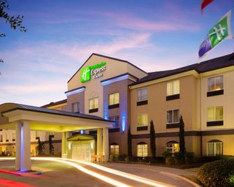 Holiday Inn Express & Suites DFW-Grapevine - Grapevine - Edificio