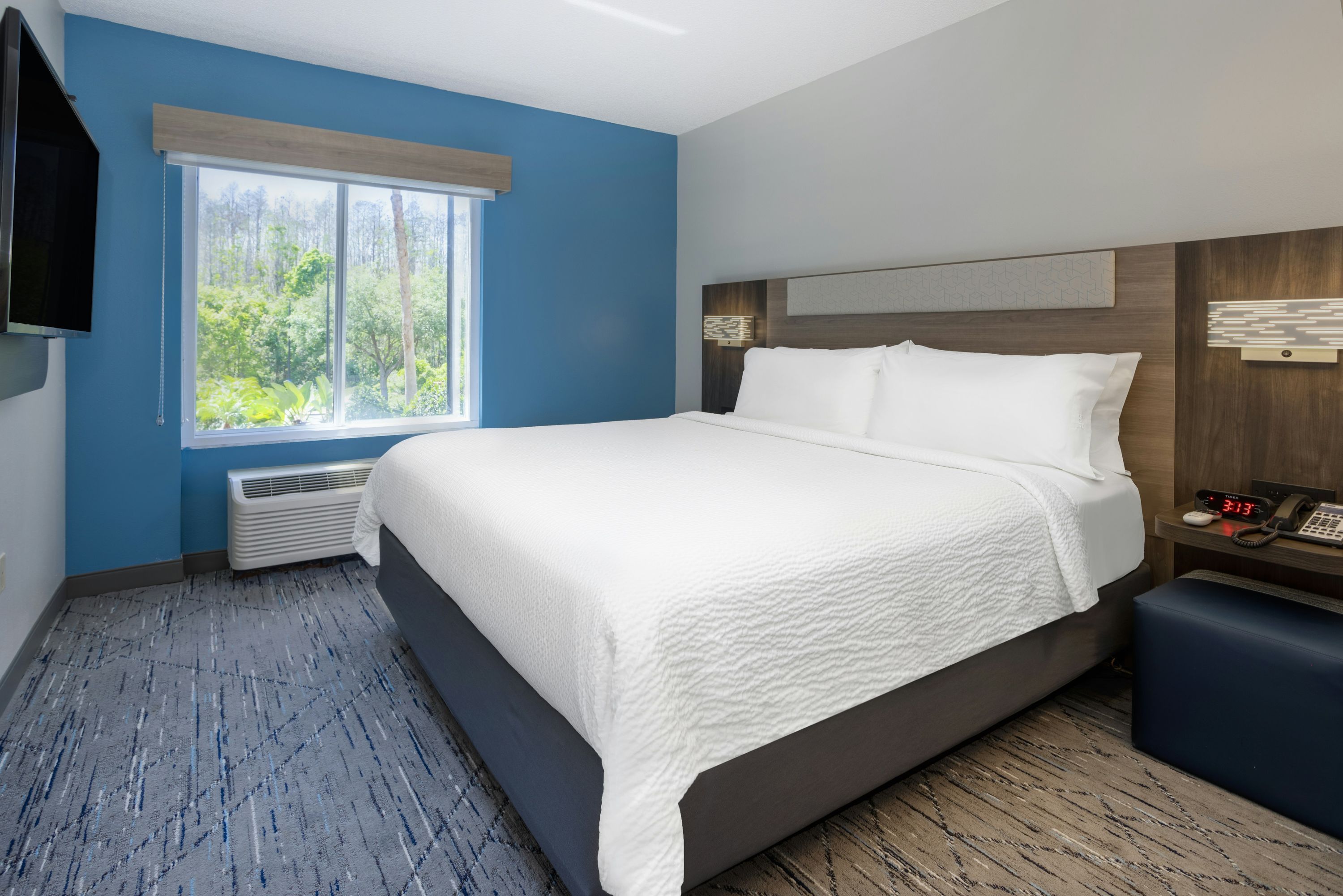 Holiday Inn Express & Suites Tampa-I-75 @ Bruce B. Downs By IHG - טמפה - חדר שינה