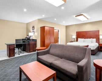 Comfort Inn University Area - Baton Rouge - Bedroom
