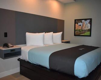 Blue Star Inn - יוסטון - חדר שינה