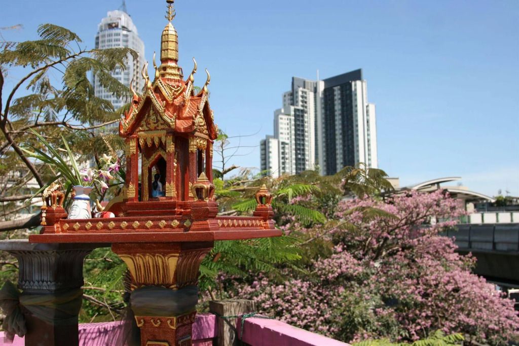 بادي مادي جيست هاوس