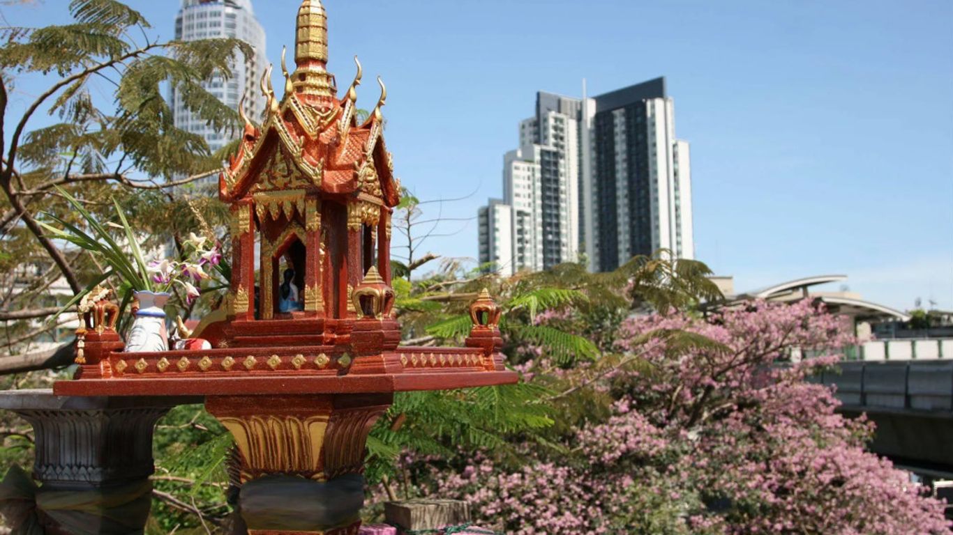 بادي مادي جيست هاوس