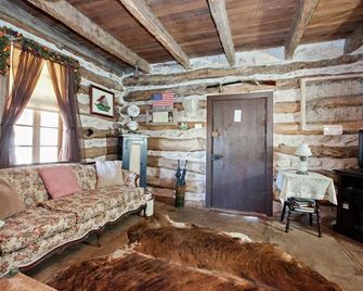 Clear Springs Log Cabin | Pet-friendly | Historic - Fredericksburg - Living room