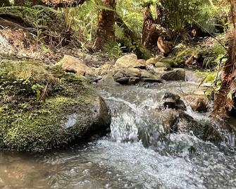The Fernglen Forest Retreat - Mount Dandenong