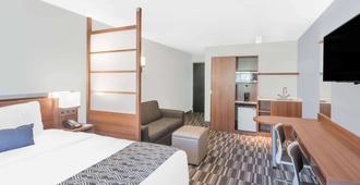 Microtel Inn & Suites by Wyndham Binghamton - Binghamton - Bedroom