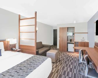 Microtel Inn & Suites by Wyndham Binghamton - Binghamton - Bedroom