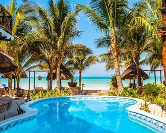 Holbox Dream Beachfront Hotel - הולבוקס איילנד - בריכה