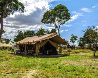 Serengeti Savannah Camps - Banagi - Building