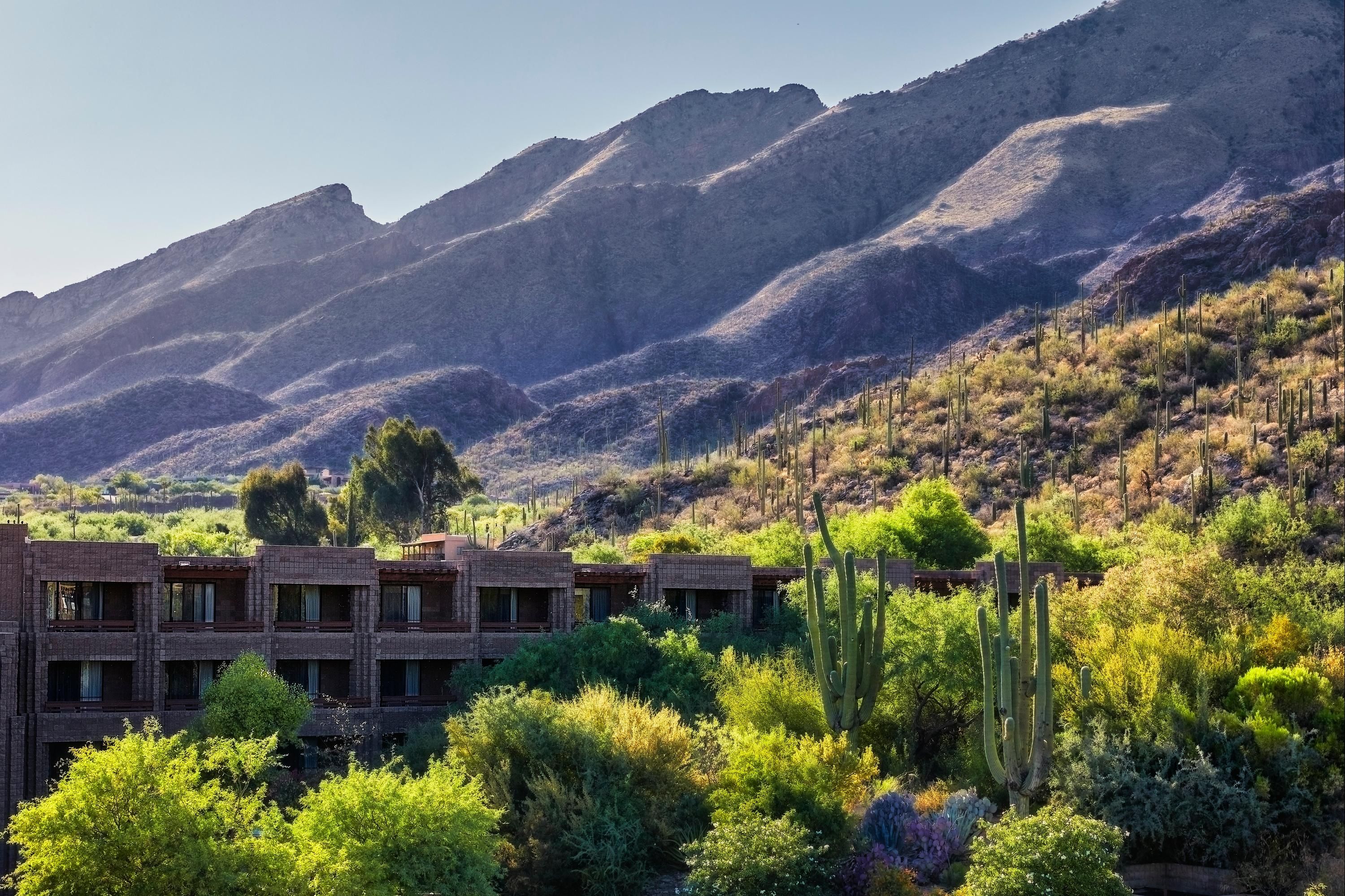 Loews Ventana Canyon Resort - Tucson - Byggnad
