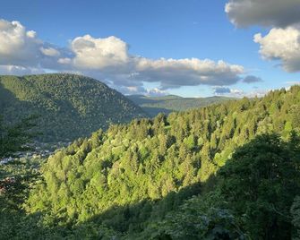 Le Vertbruche - Gîte Avec Superbe Vue Pour 15 Pers - La Bresse - Outdoor view