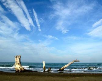 Casa Bambú - Amplia y acogedora, ubicada dentro de una granja ecológica - Santa Ana - Playa