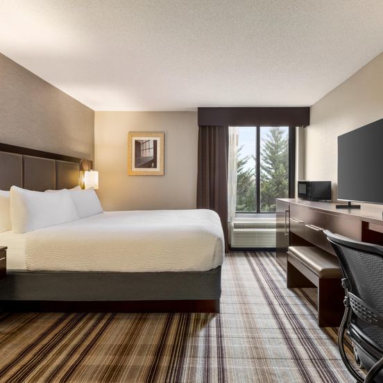 Bedroom view of Holiday Inn Gaithersburg