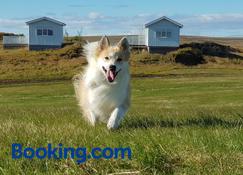 Beindalsholt - Hella - Admite mascotas