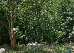 Scott Creek Farm: 2 Acre Sustainable Farm With Forest, Creek, And Nature Park. - Happy Valley - Outdoor view