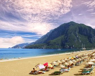 Alican Pension - Cirali - Beach