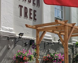 The Linden Tree - Gloucester
