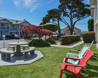 Cayucos Beach Inn - Cayucos - Patio