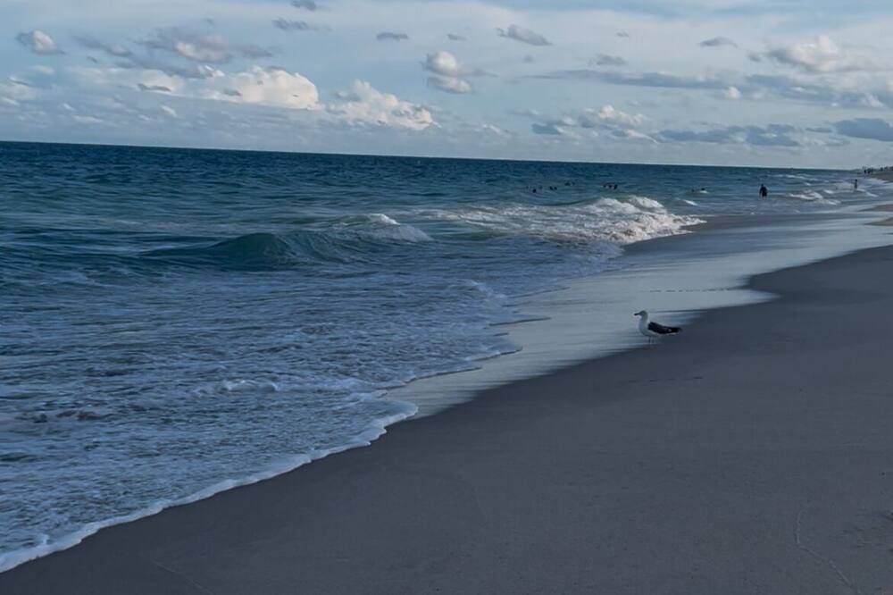 Cozy 2 bedroom Florida Style Cottage Centrally Located - 8 minutes to Beach - פורט לודרדייל - חוף