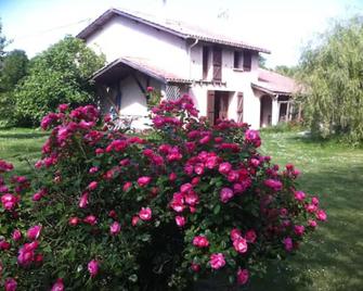 Country cottage in the middle of the forest - Lesparre-Médoc - Outdoor view