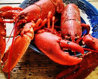 Kirkapol Pod Sleeps 2 with Ocean Views - Isle of Tiree