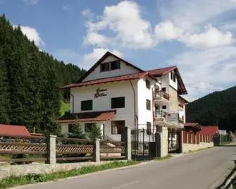 Pensiunea La Turcu - Moieciu de Sus - Building