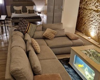 Le Clos de l'Hermitage - Amboise - Living room