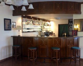 Hotel Zlaty Lev - Jablonec nad Nisou - Bar