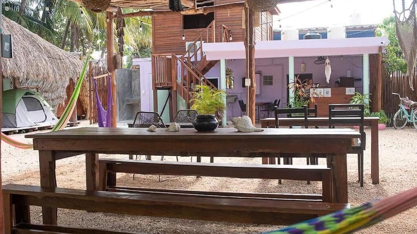 Mapache Hostel & Camping