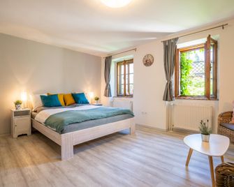 Pension Marie - Český Krumlov - Habitación