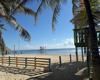 Hotel Royal Blue & Golf Cart Rental - San Pedro Town - Strand