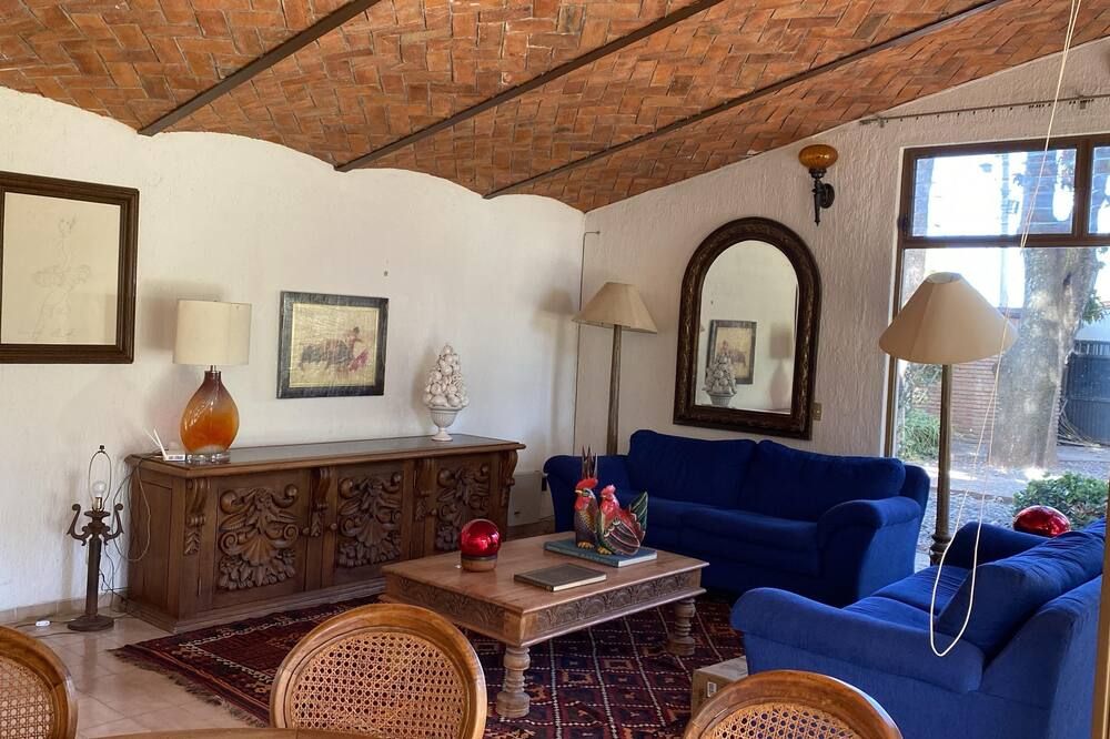 Lake front 3 bedroom house with a very big garden. - San Juan Cosalá - Sala de estar