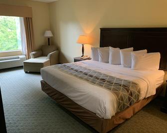 Ambassador Inn and Suites Tuscaloosa - Tuscaloosa - Bedroom