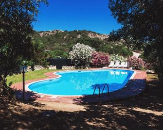 Domus Liscia DI Vacca - Arzachena - Piscina