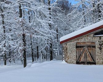 The Forge at Torch Lake: near lake access and boat ramp, boat trailer parking - Central Lake