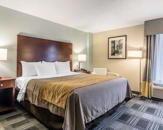 Comfort Inn Sw Omaha I-80 - Omaha - Bedroom