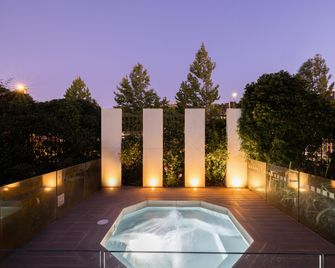 Holiday Inn Express Concepcion By IHG - Concepción - Pool